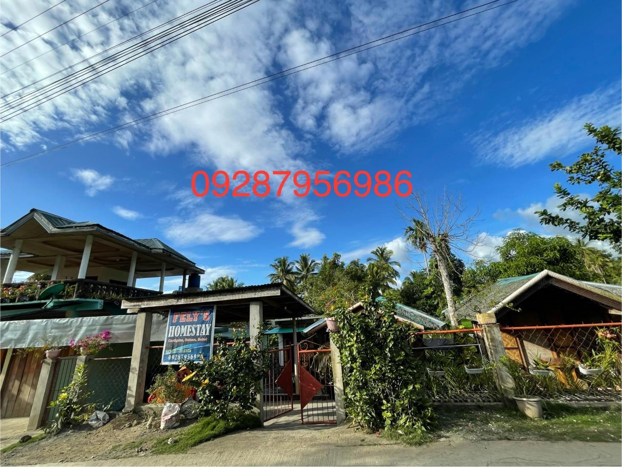 Fely'S Homestay Batuan 외부 사진